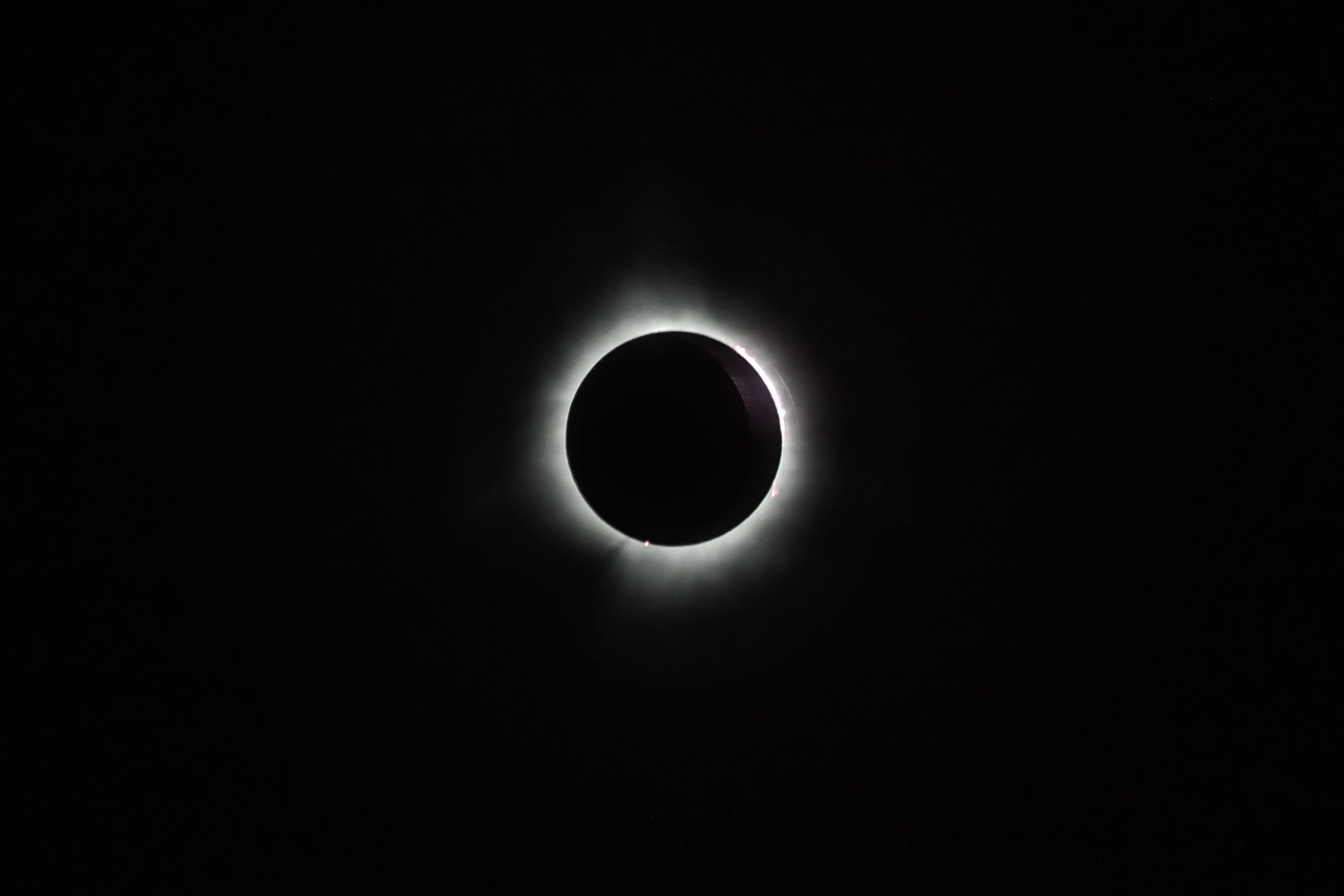 pexels-photo-21337461